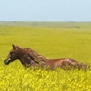 Meet your Posher, Cheryl